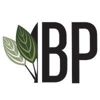 buce plant logo image