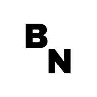 brilliant noise logo image