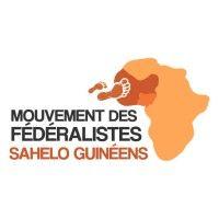 mfsg afrique logo image