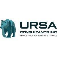 ursa consultants