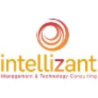 intellizant logo image