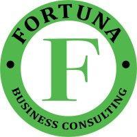 fortuna business consulting logo image