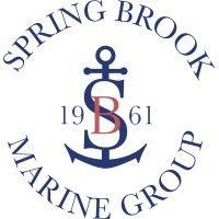 spring brook marine group logo image