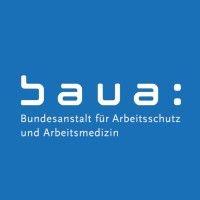 bundesanstalt für arbeitsschutz und arbeitsmedizin (baua) logo image