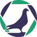 logo of Pigeonphotography