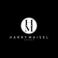 harry maisel group — chicago north shore real estate logo image