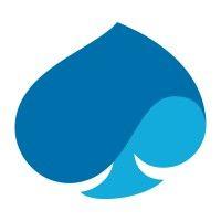 capgemini logo image