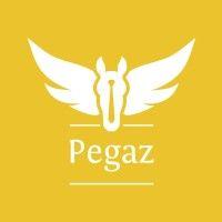 pegaz recruitment - multilingual recruitment specialists logo image