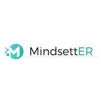 mindsetter logo image