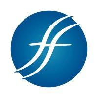 financial finesse logo image