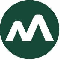 moneyview logo image