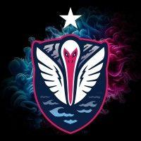 south georgia tormenta fc logo image