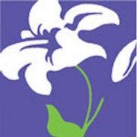 palmer flowers, llc. logo image