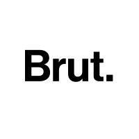 brut. logo image