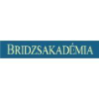 bridge academy logo image