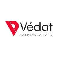 vedat de mexico sa  de cv