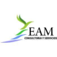 eam consultoria y servicios s.a.s logo image