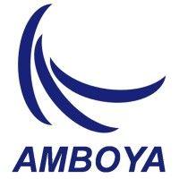 amboya investments logo image